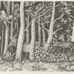 Animals in the forest
