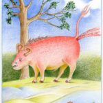 12. Bestiario. Bonnacon