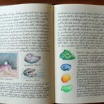 I. Libro d'artista, Bestiari 3